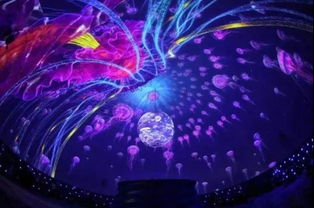 沉浸式互动投影大揭秘 原来它是这样的互动投影